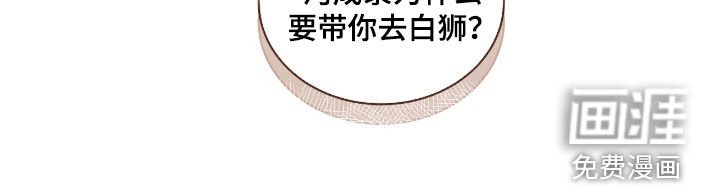 第35章：发挥想象力