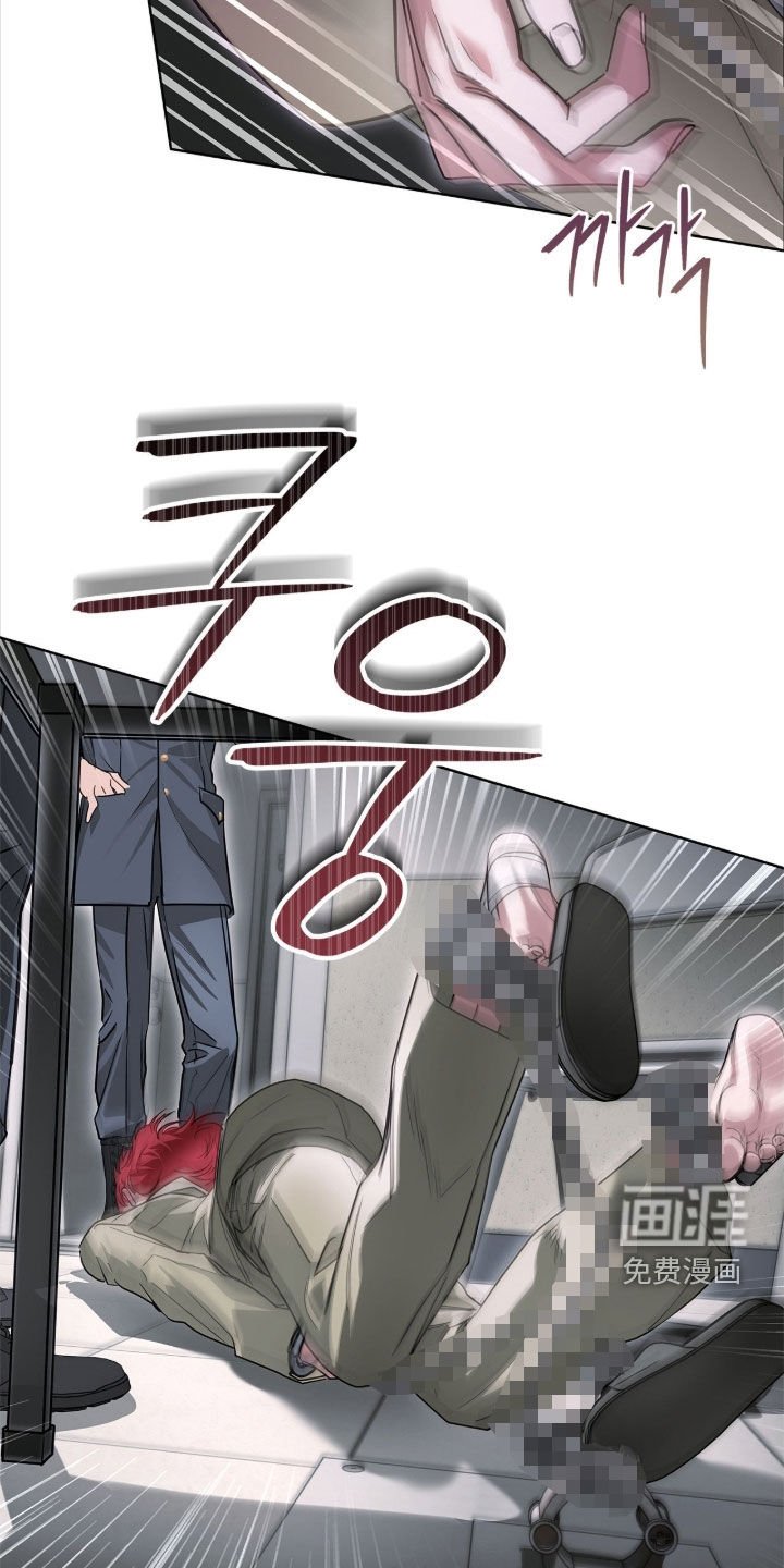 第41章：惊喜客人