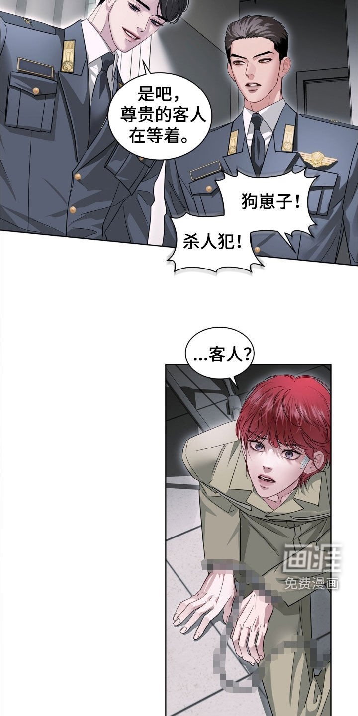 第41章：惊喜客人