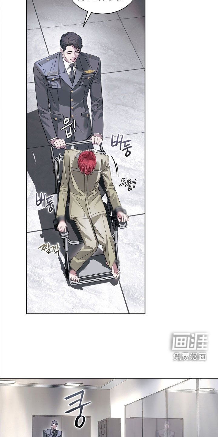 第41章：惊喜客人