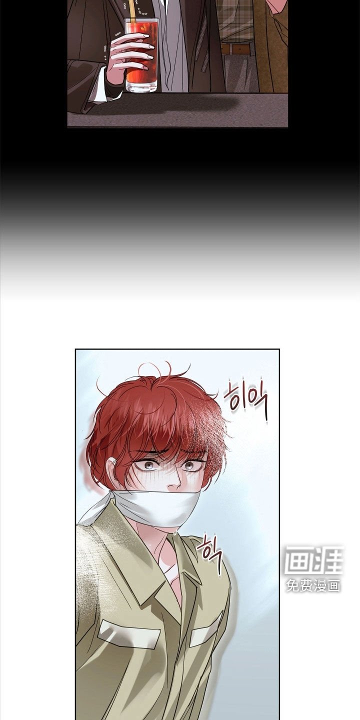 第41章：惊喜客人