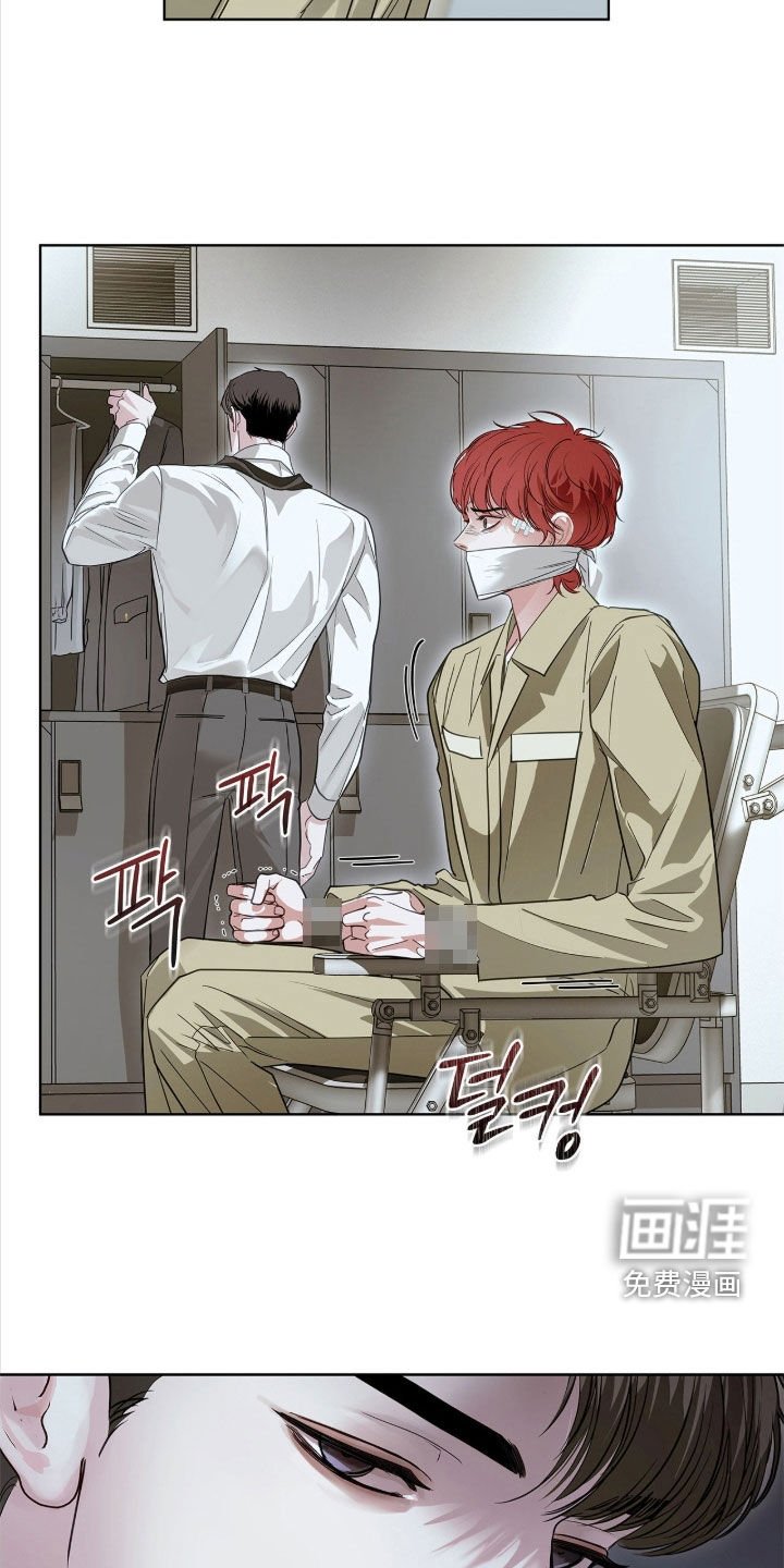第41章：惊喜客人