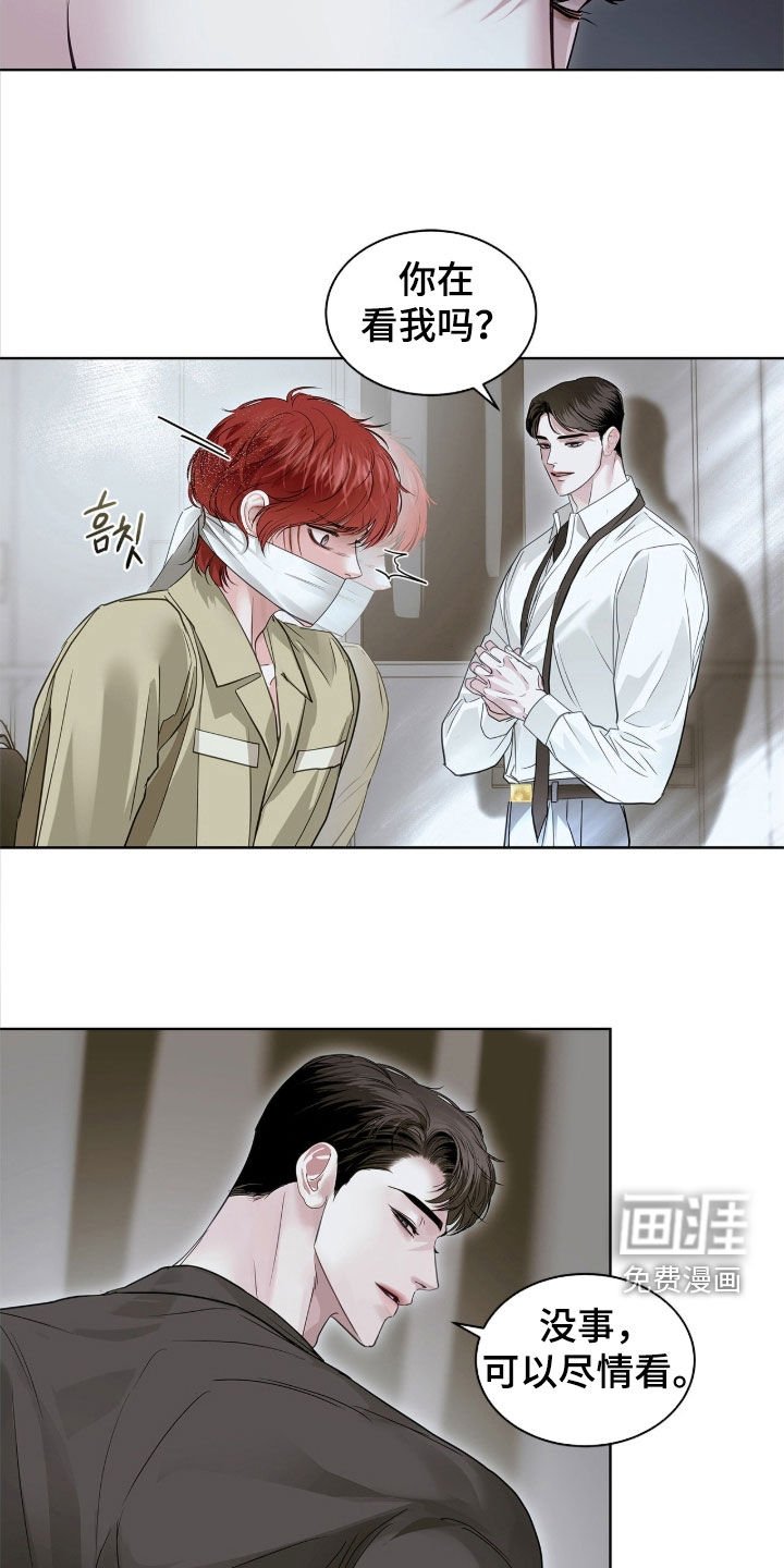第41章：惊喜客人