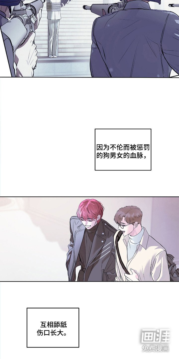 第5章：看着办