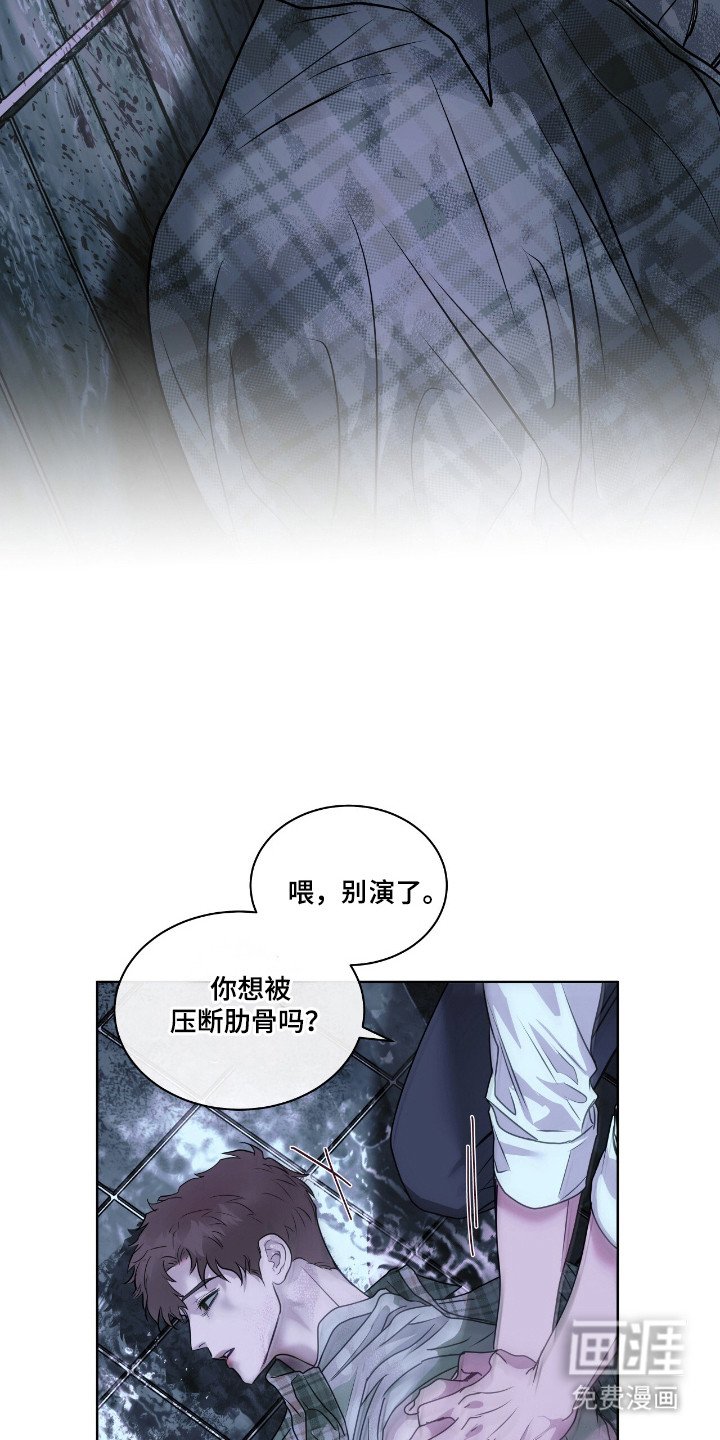 第5章：看着办