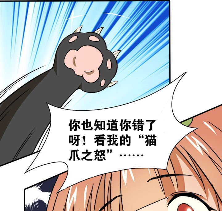 第31章：谅解