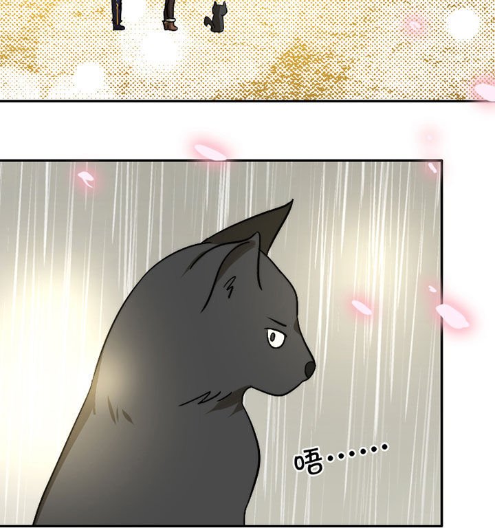 第31章：谅解