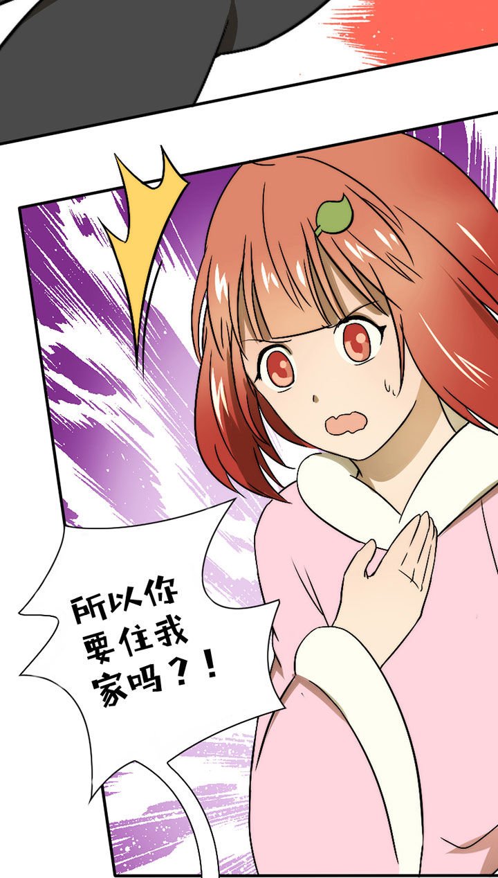 第31章：谅解