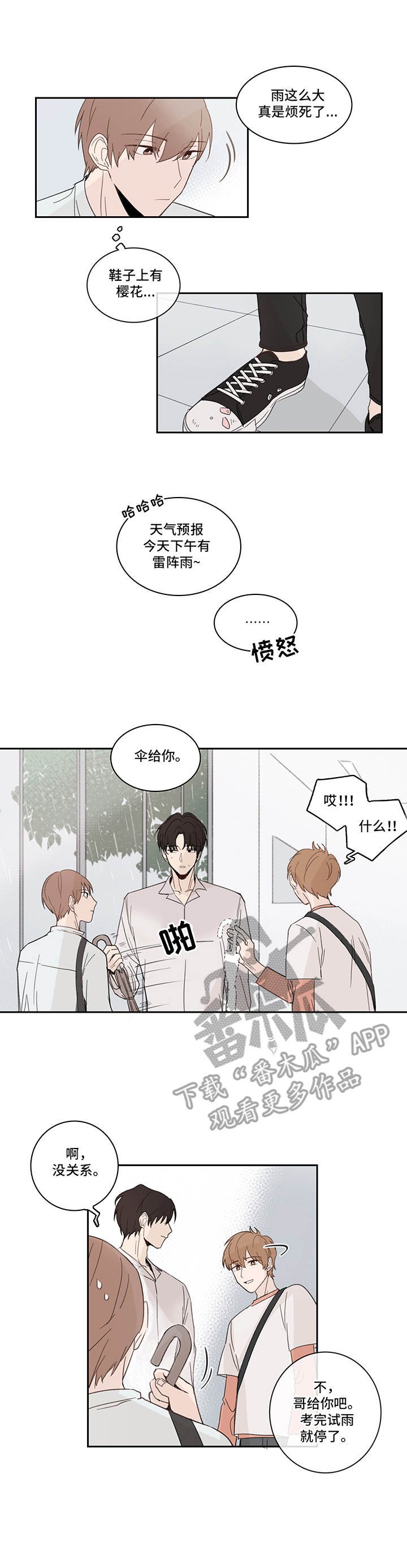 第16章：花瓣