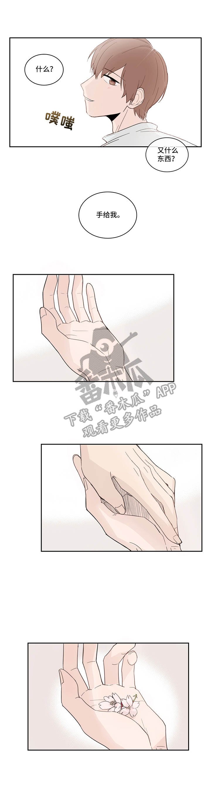 第16章：花瓣