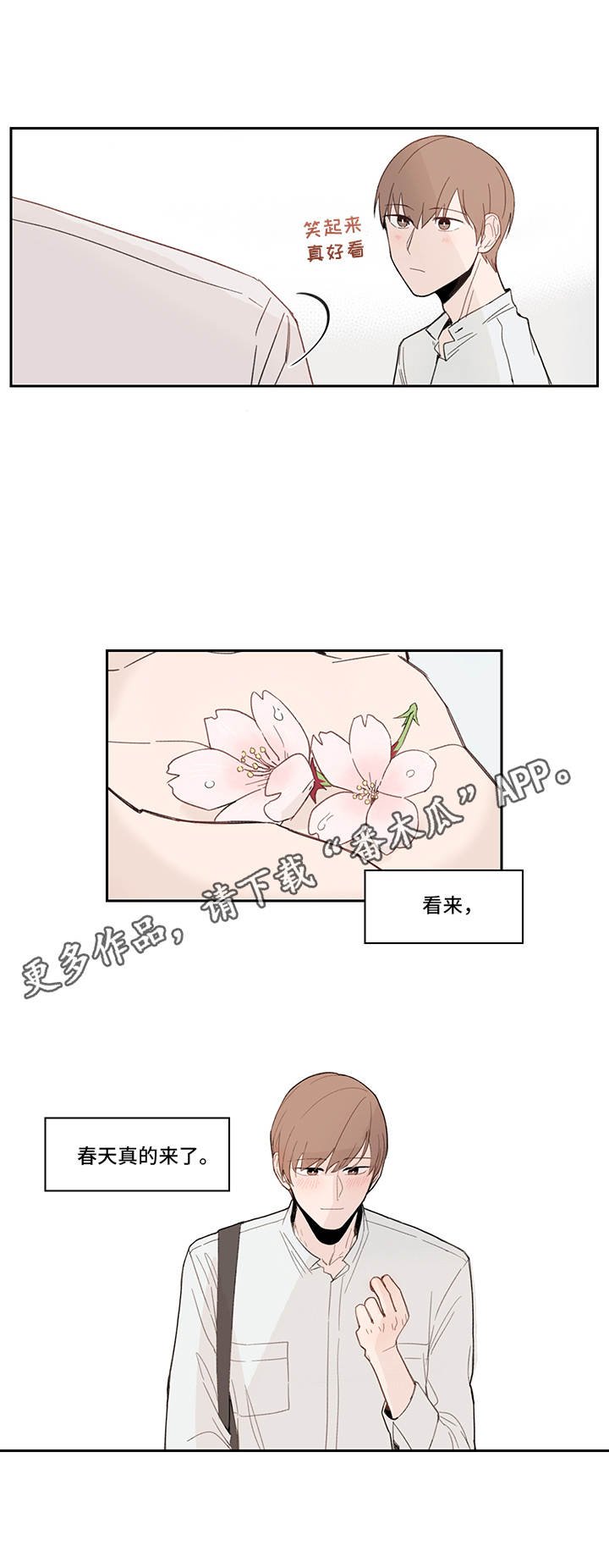 第16章：花瓣