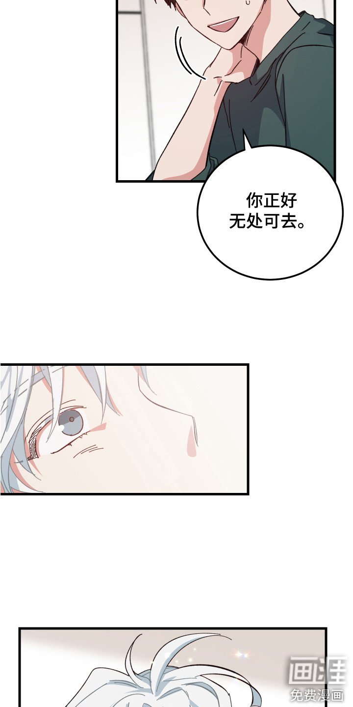 第10章：一起生活
