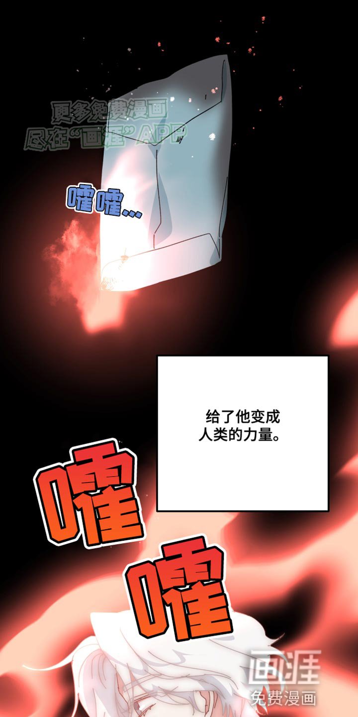 第103章：别动摇我的心