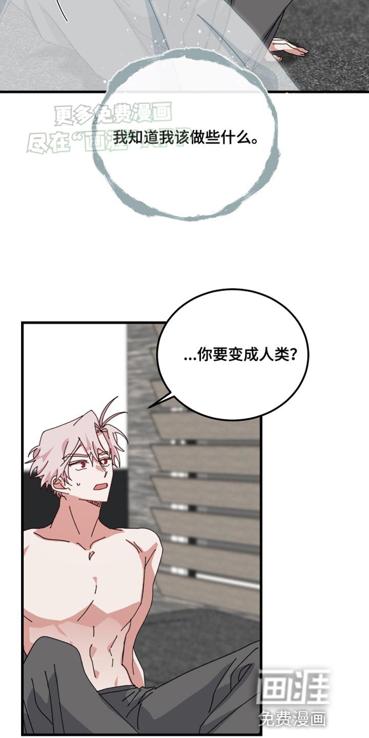 第105章：太莽撞了