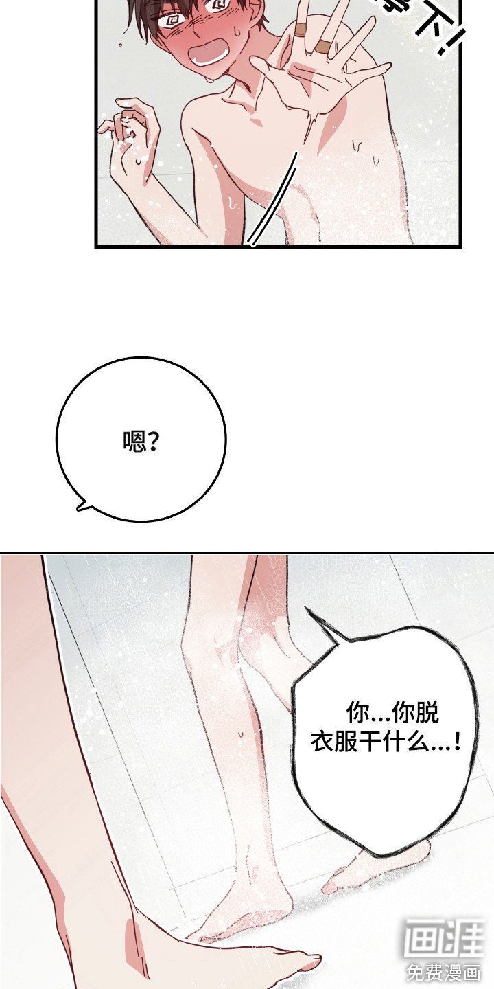 第12章： 脸红 
