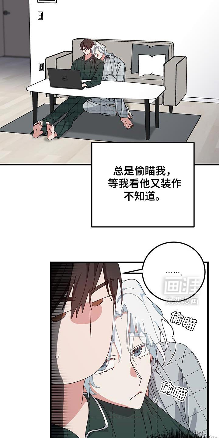 第123章：【第二季】酒会