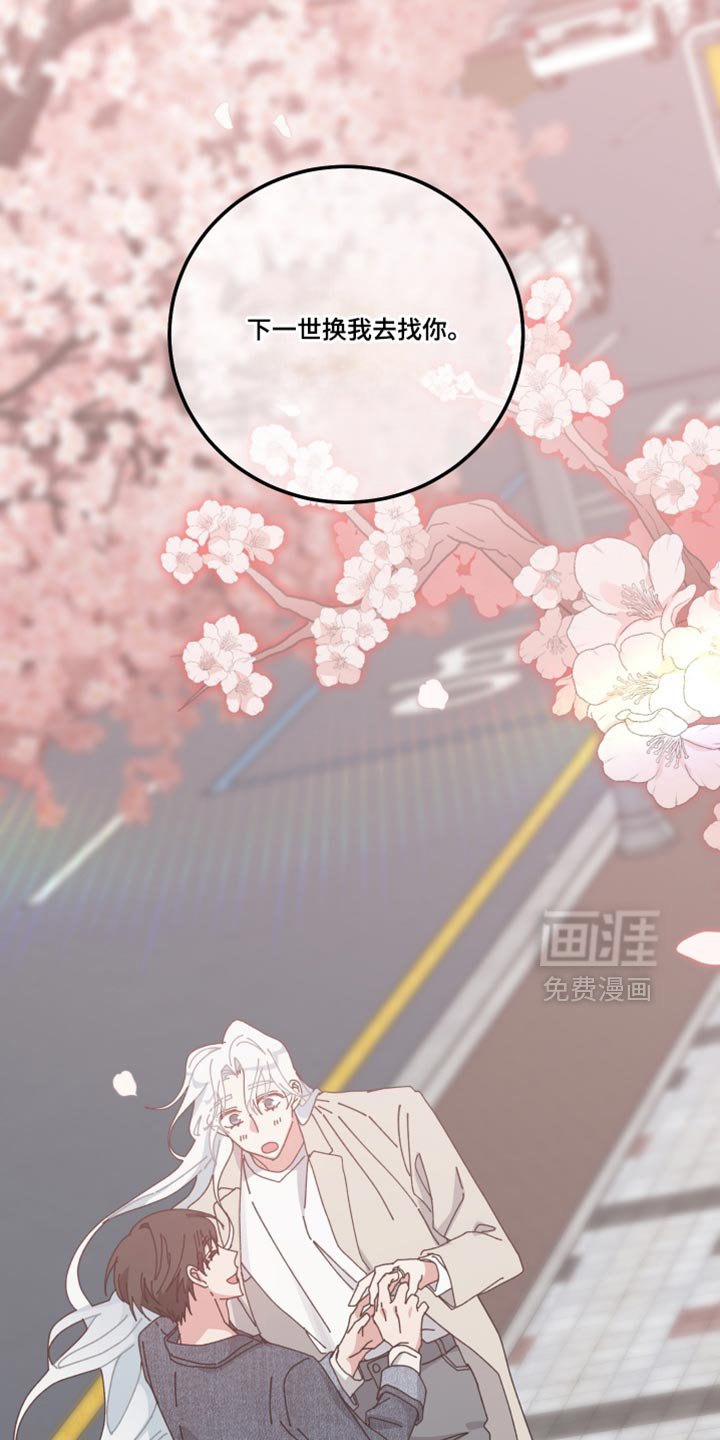 第133章：【第二季】下一世换我去找你（完结）