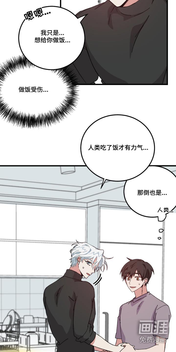 第24章：做饭