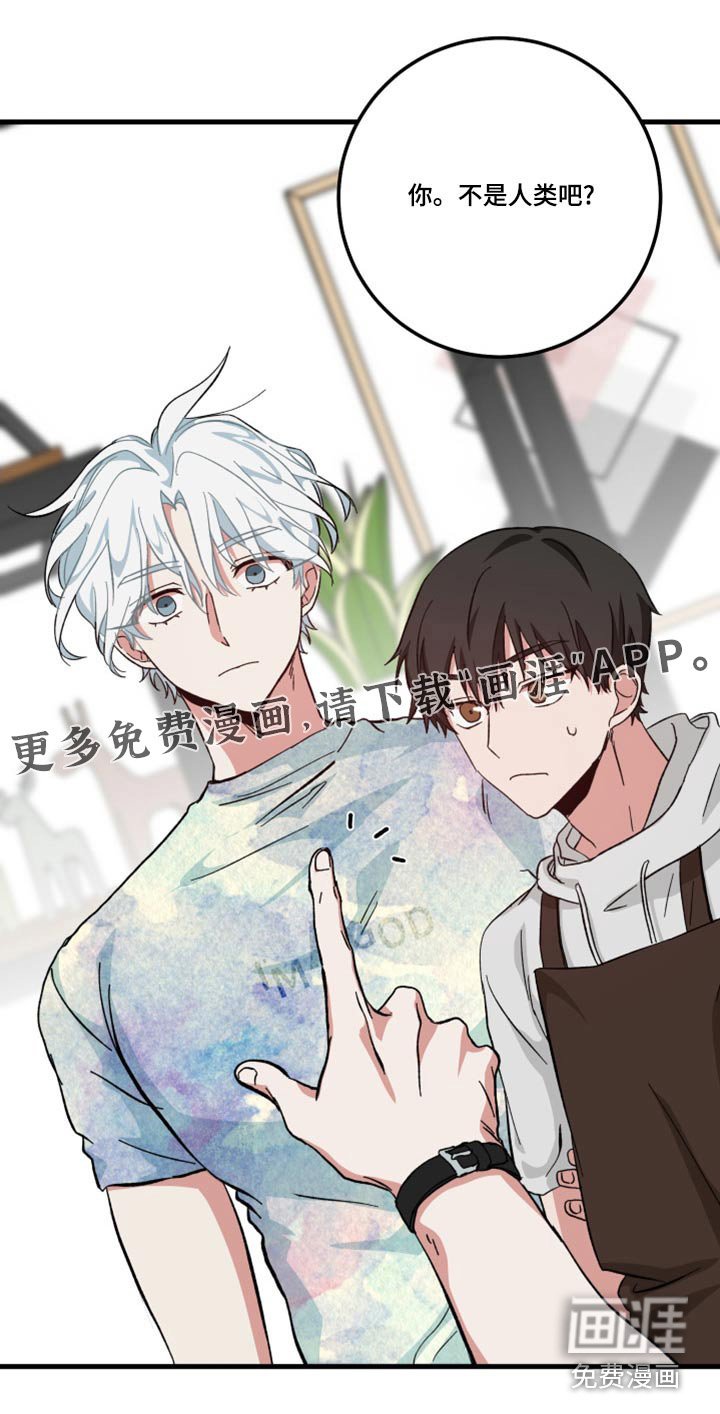 第25章：什么事