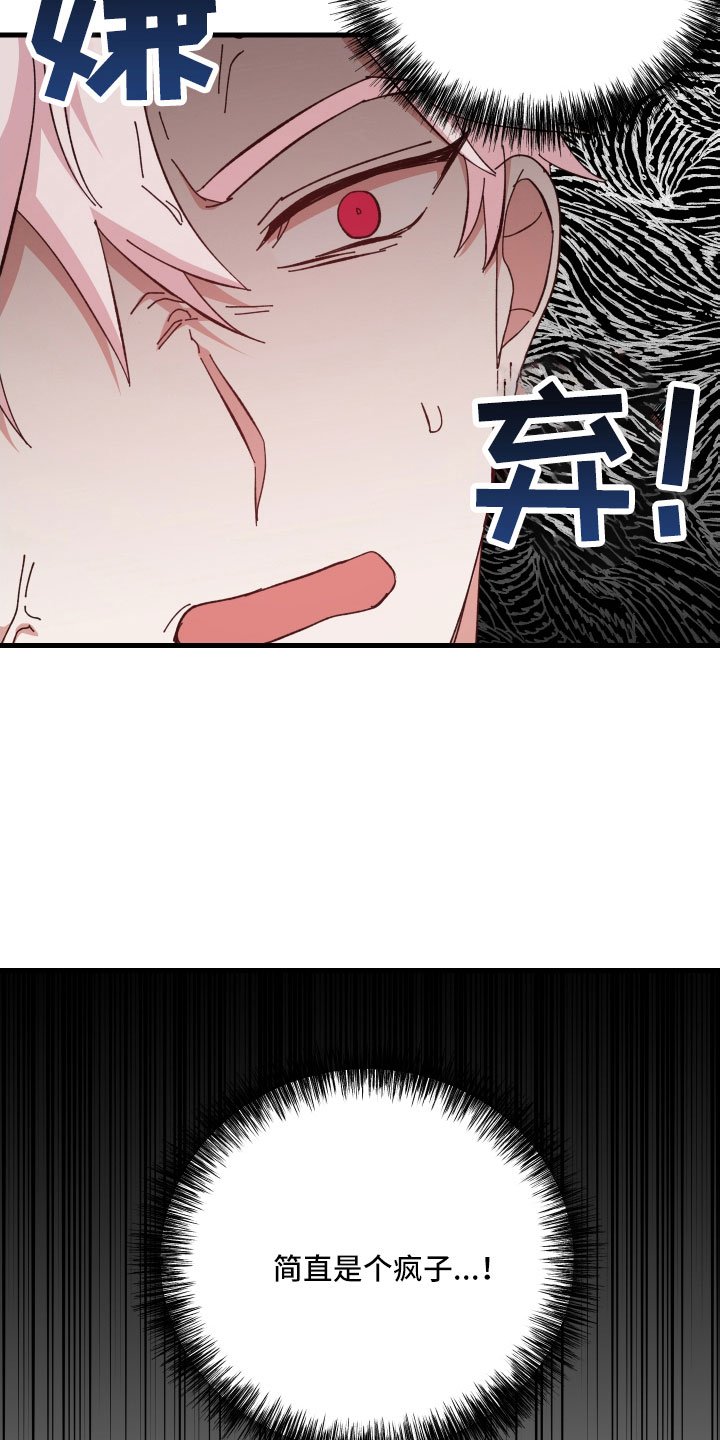 第30章：疯子 