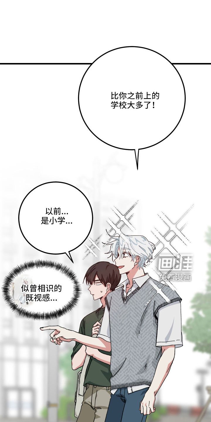 第32章：白担心
