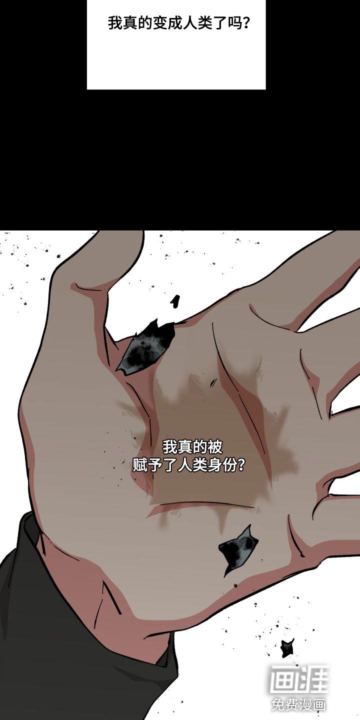 第38章：人类的身份