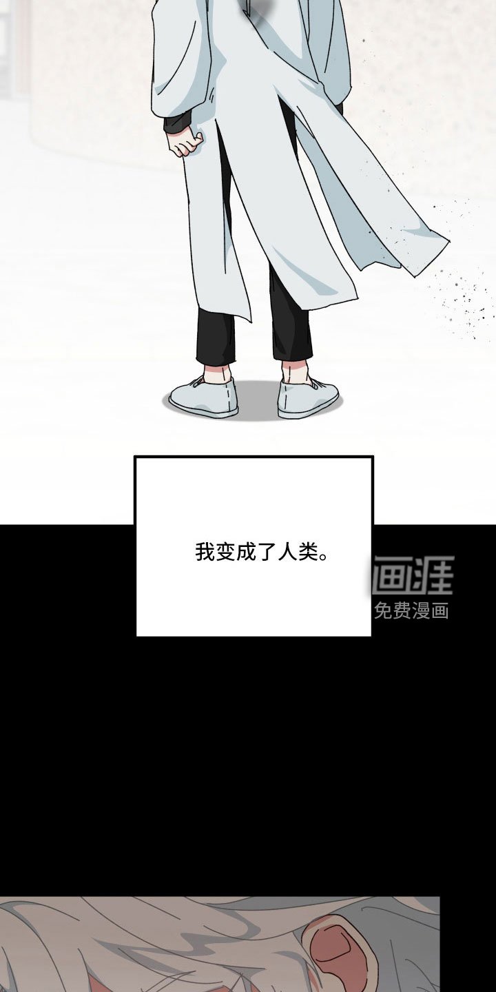 第39章：大错特错