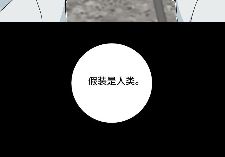 第39章：大错特错