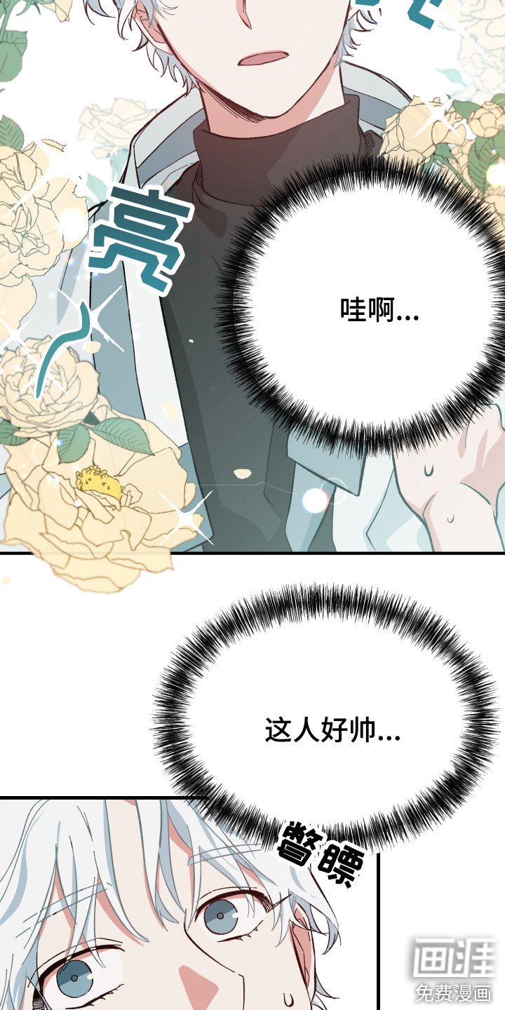 第4章：守护神