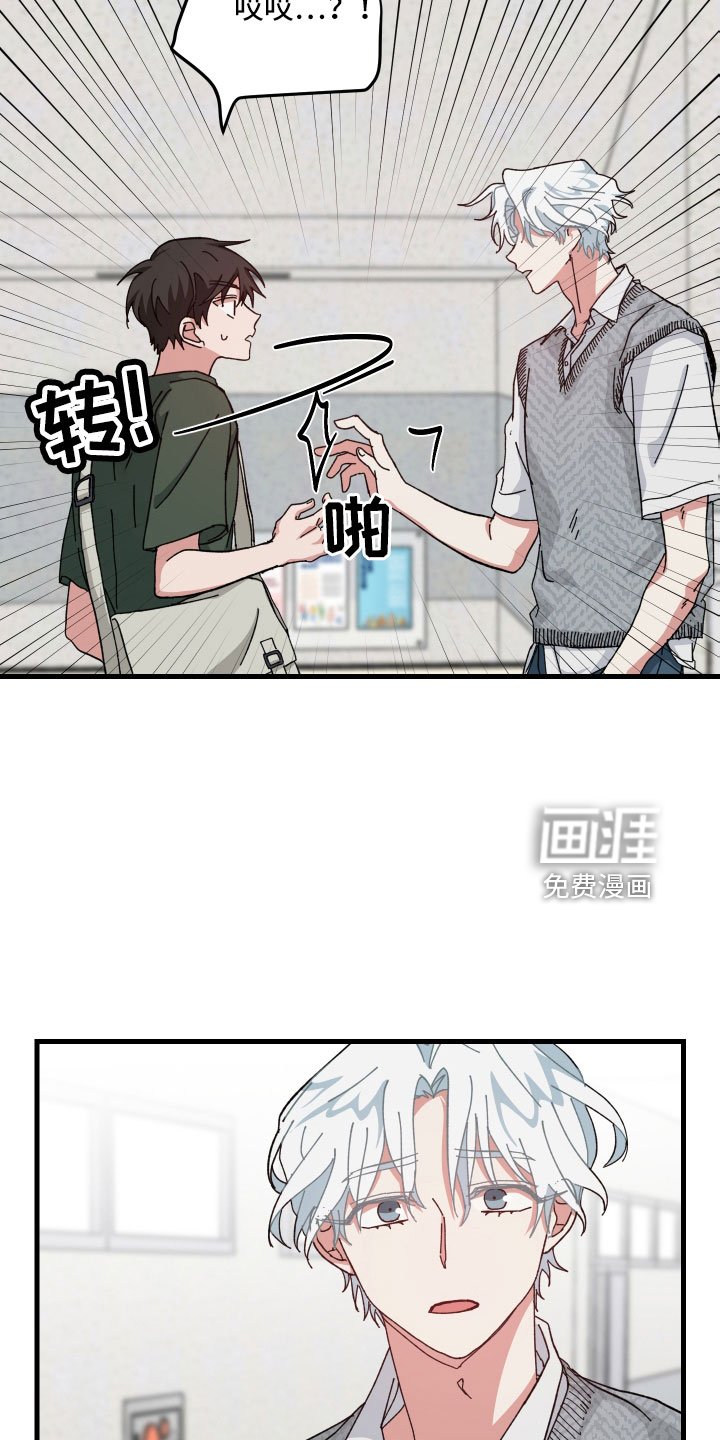 第40章：不会再消失