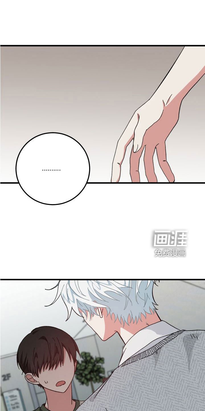 第41章：胡思乱想