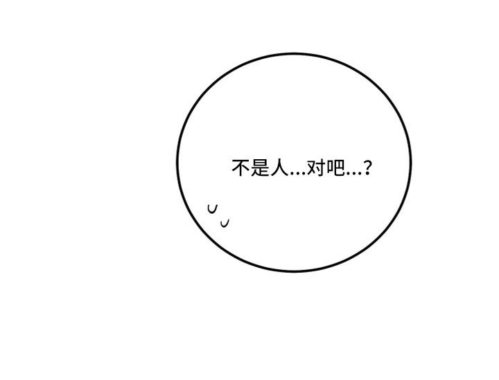 第47章：不是人对吧