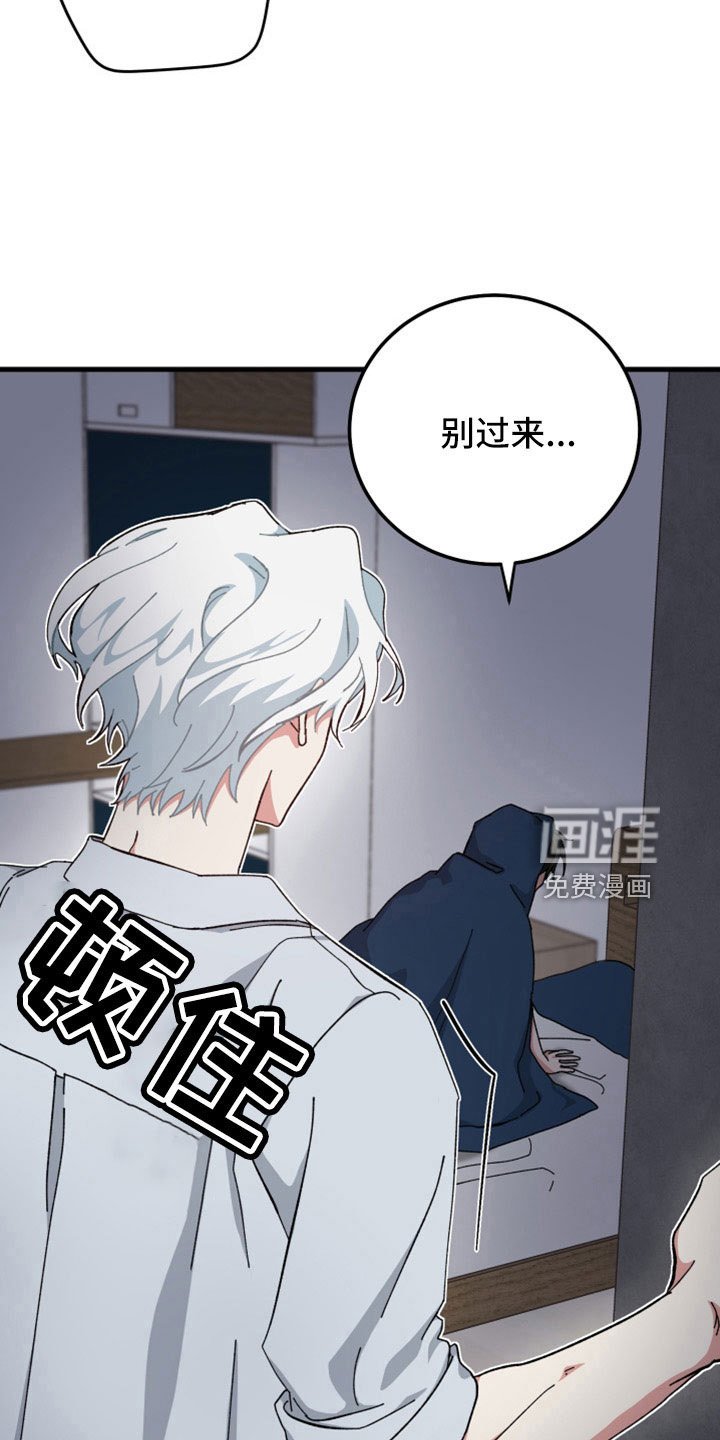 第48章：守护神