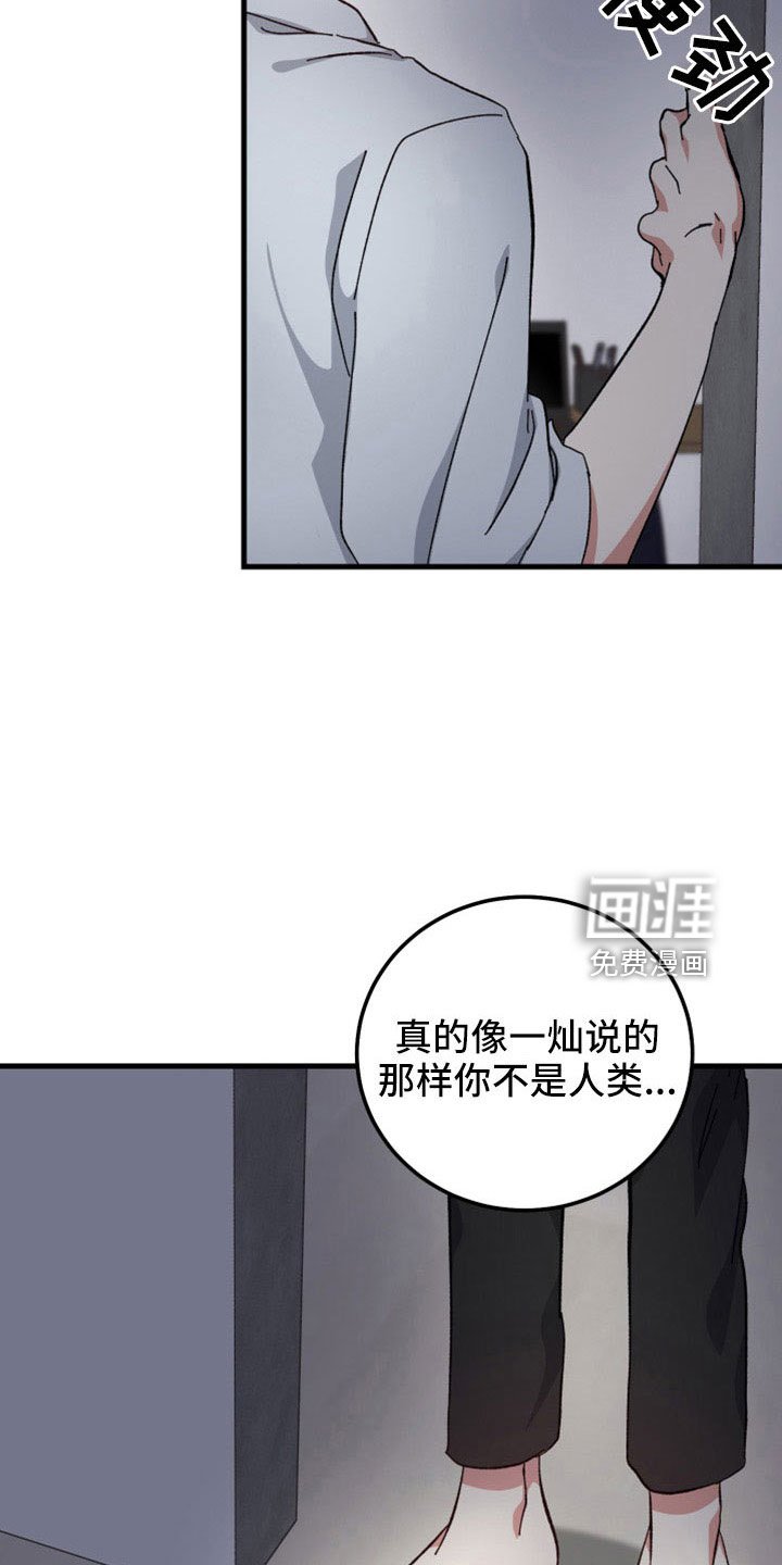 第48章：守护神