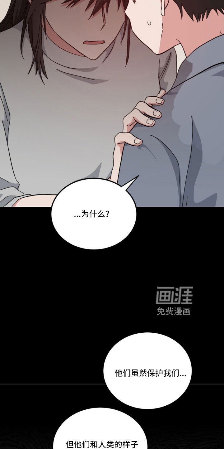 第50章：回忆