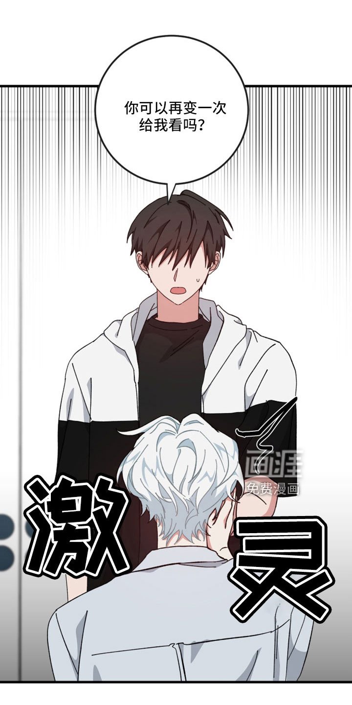第52章：一点不像神