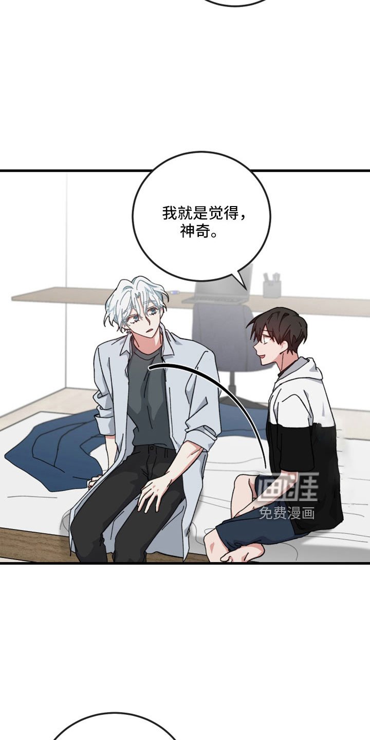 第52章：一点不像神
