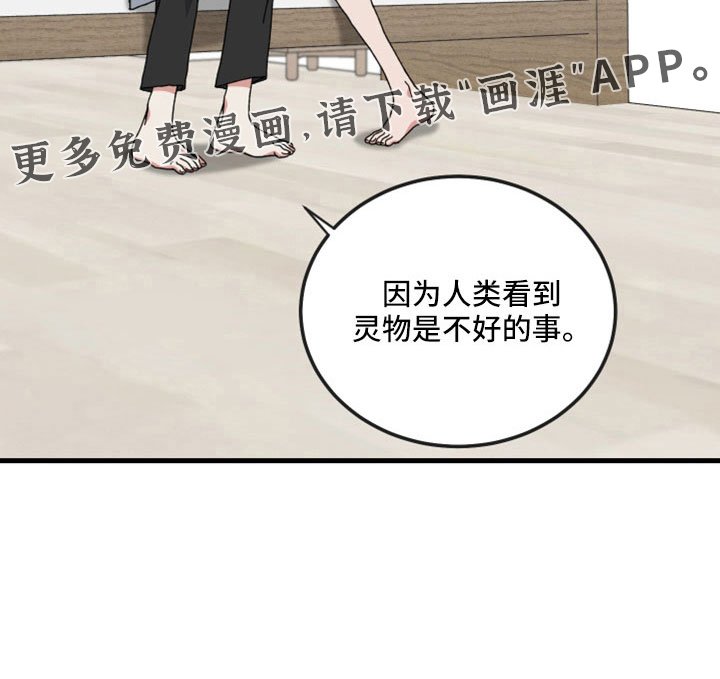 第52章：一点不像神