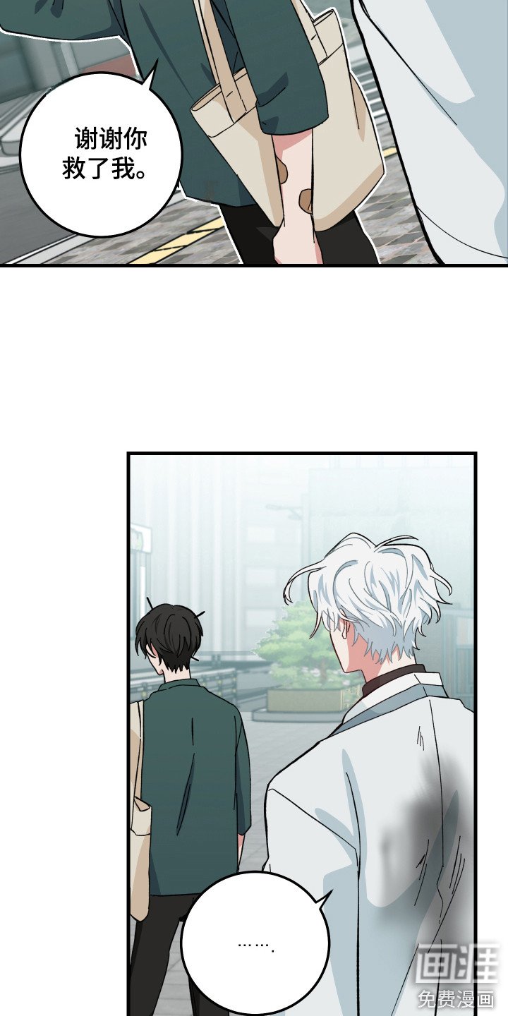 第6章：跟回家