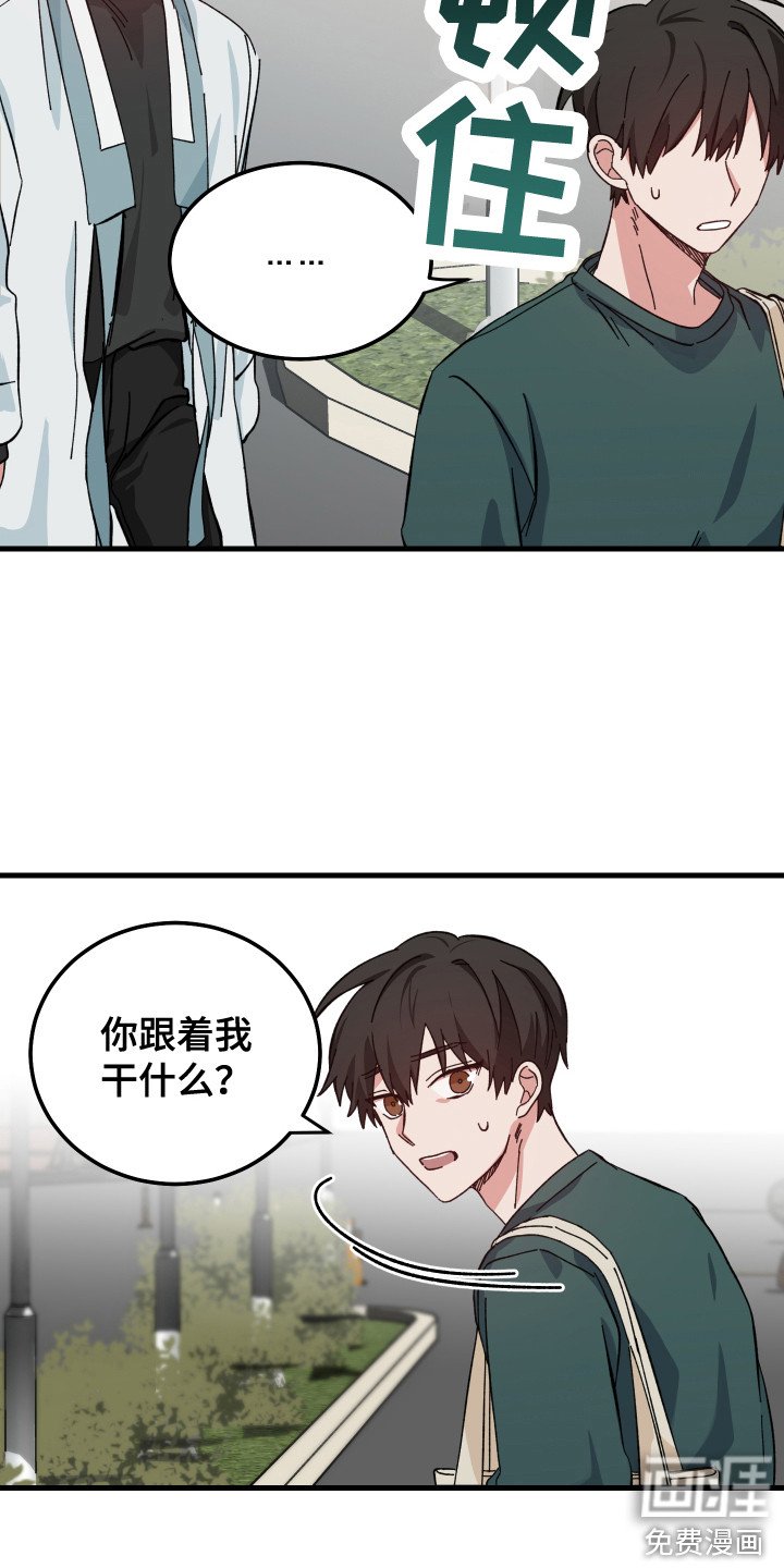第6章：跟回家