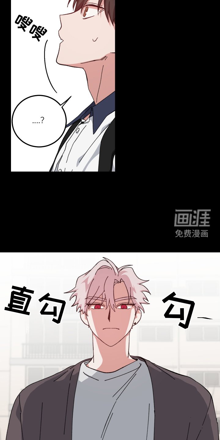 第66章：形影不离