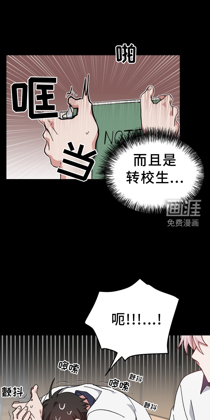 第66章：形影不离