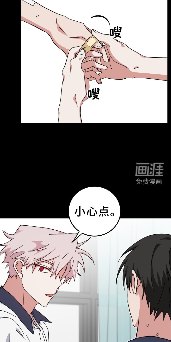 第66章：形影不离