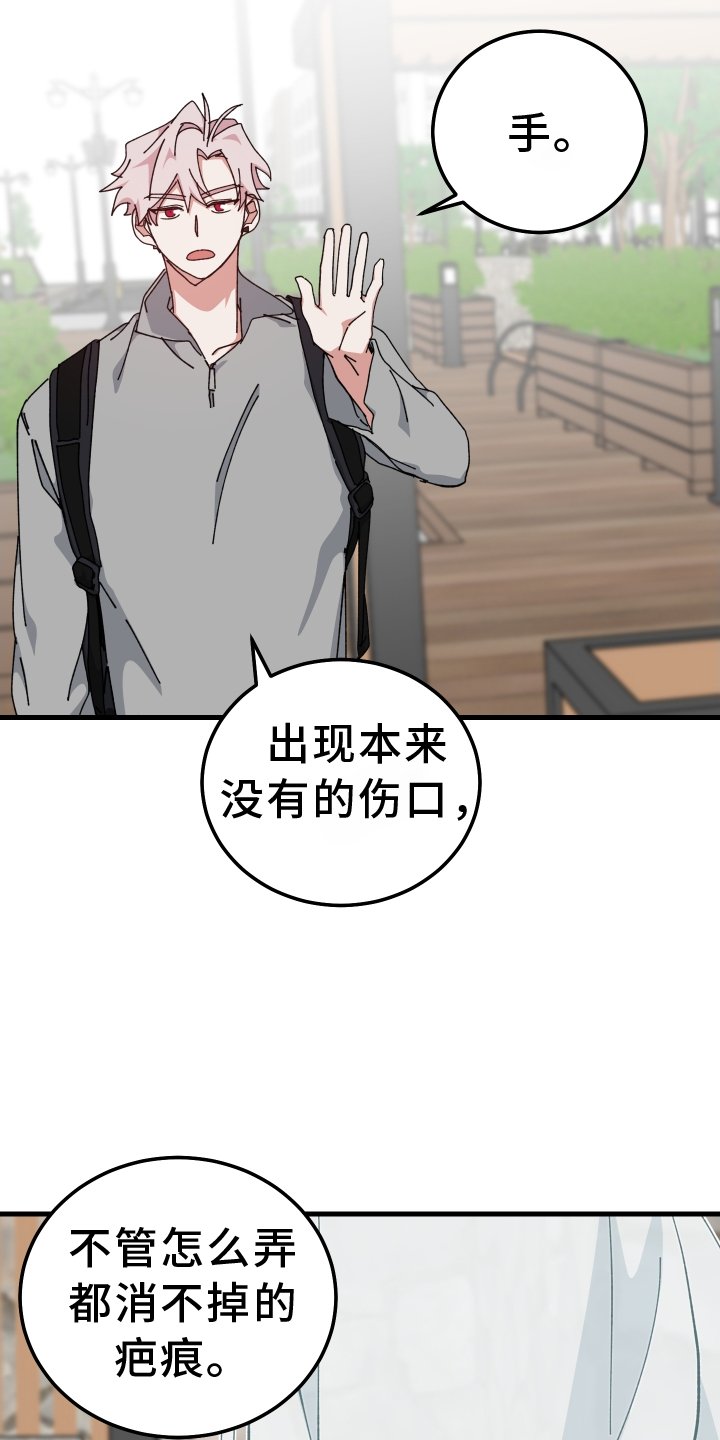 第72章：经验