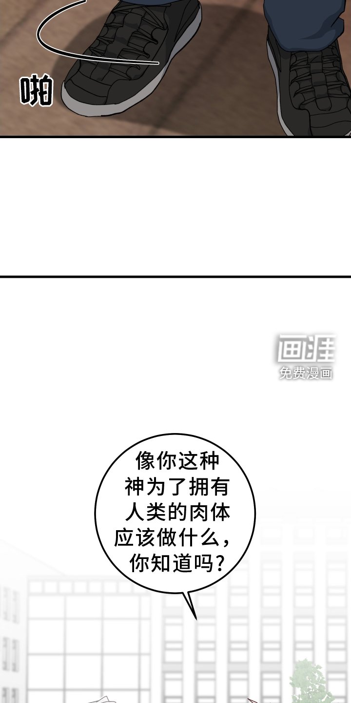 第72章：经验