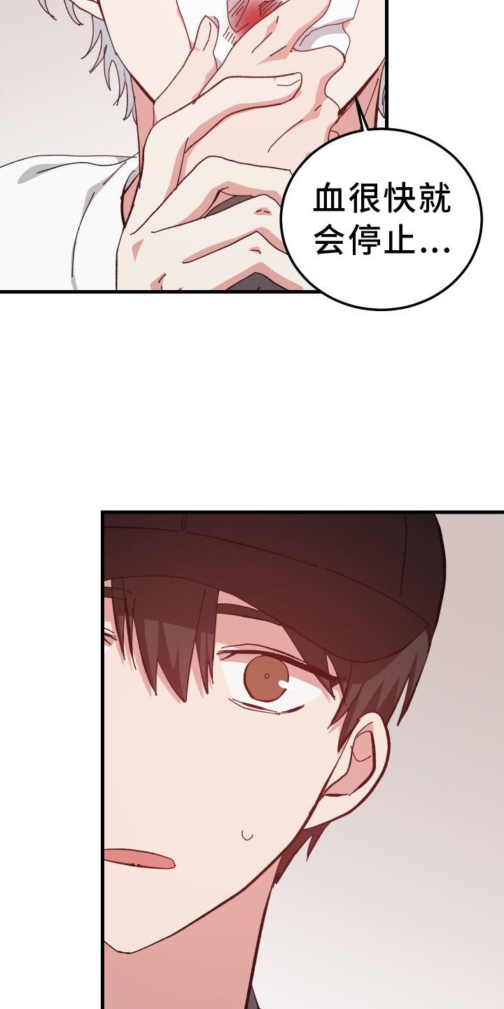 第77章：表明