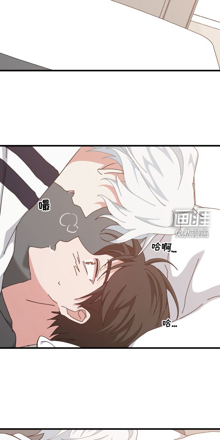 第78章：办法