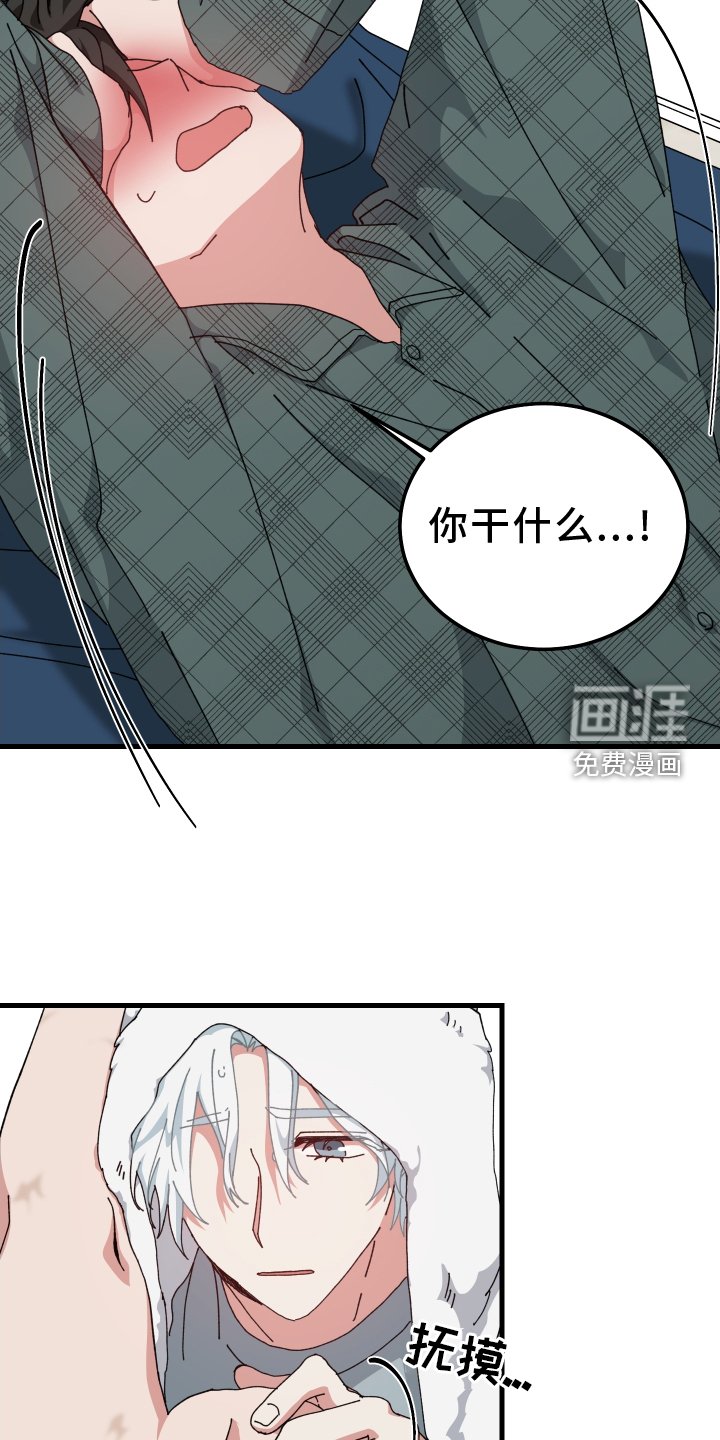 第81章：检查