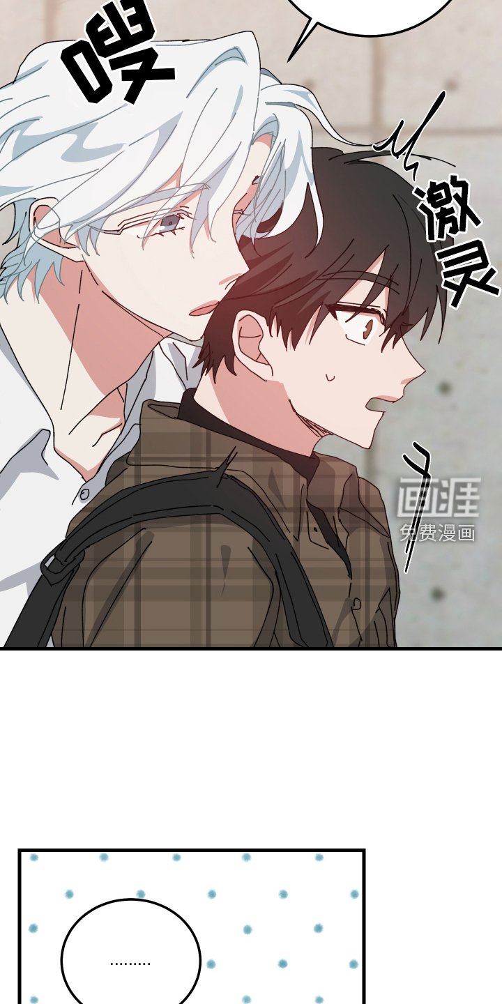 第84章：校庆