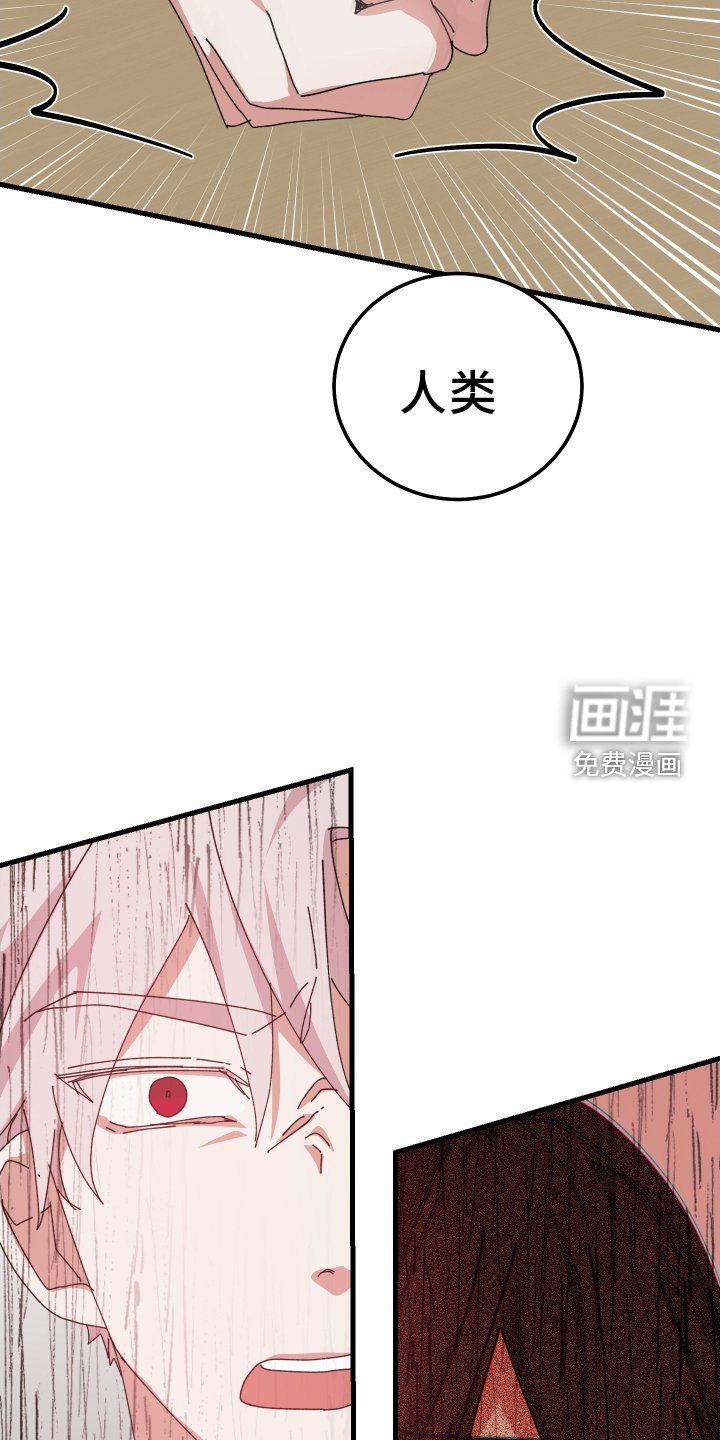 第88章：注定